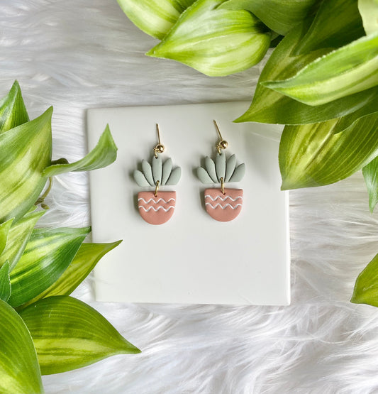 Snake Plant on Painted Pots